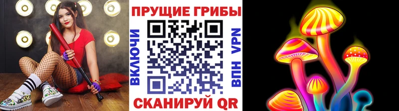 Псилоцибиновые грибы Magic Shrooms  Ладушкин 